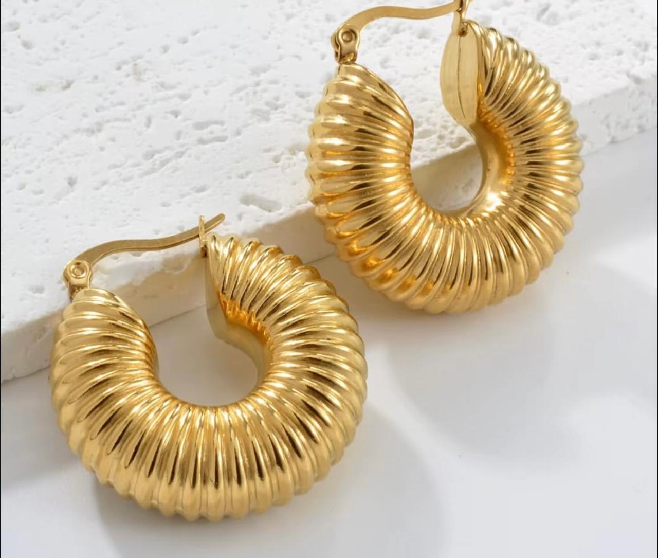 Stainless Steel Earrings