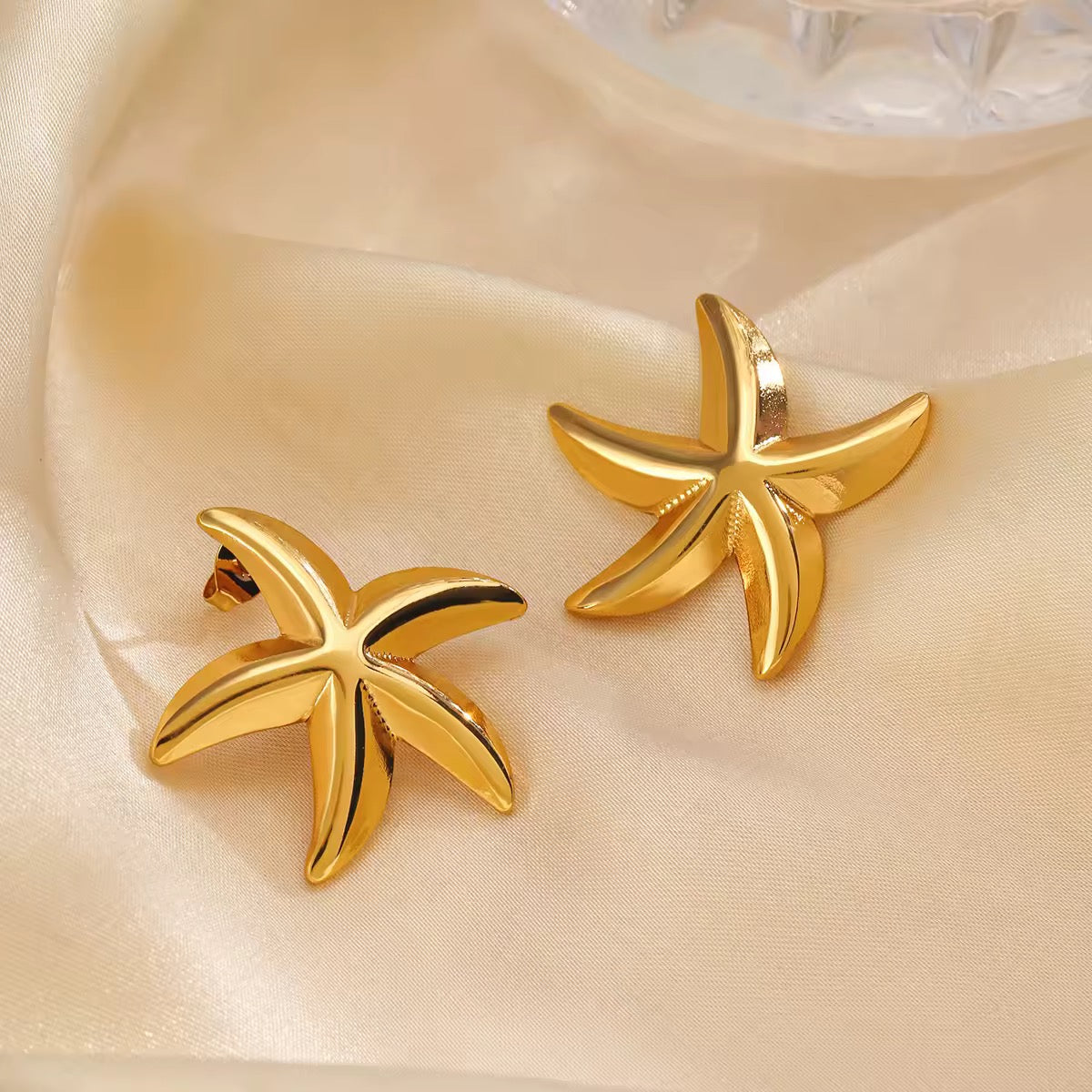 Stainless
steel
Earring