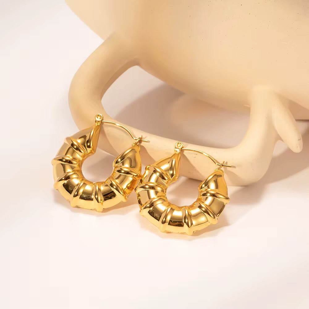 Stainless
steel
Earring