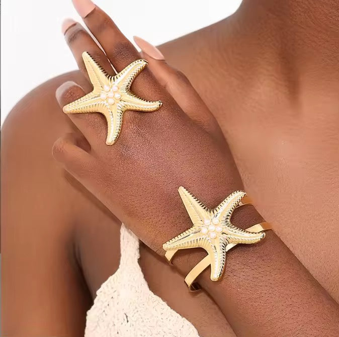 Stainless
steel
star fish Set