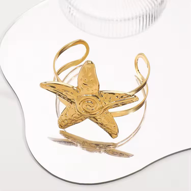 Stainless
steel
star fish
Bangel